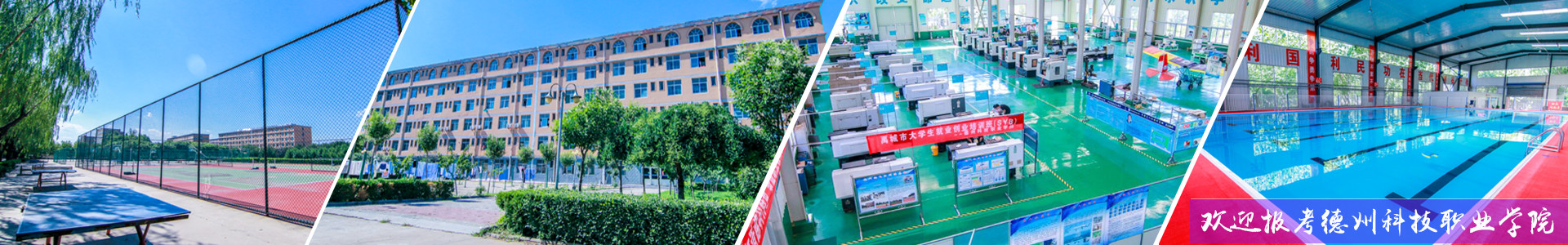 德州科技职业学院